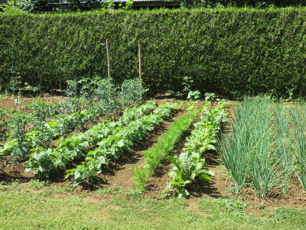 Les Quatre Saisons Bed and Breakfast Moitron-sur-Sarthe Exterior foto